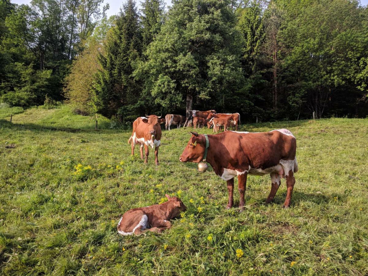 Puzman Farm Glamping Radovljica Exterior foto